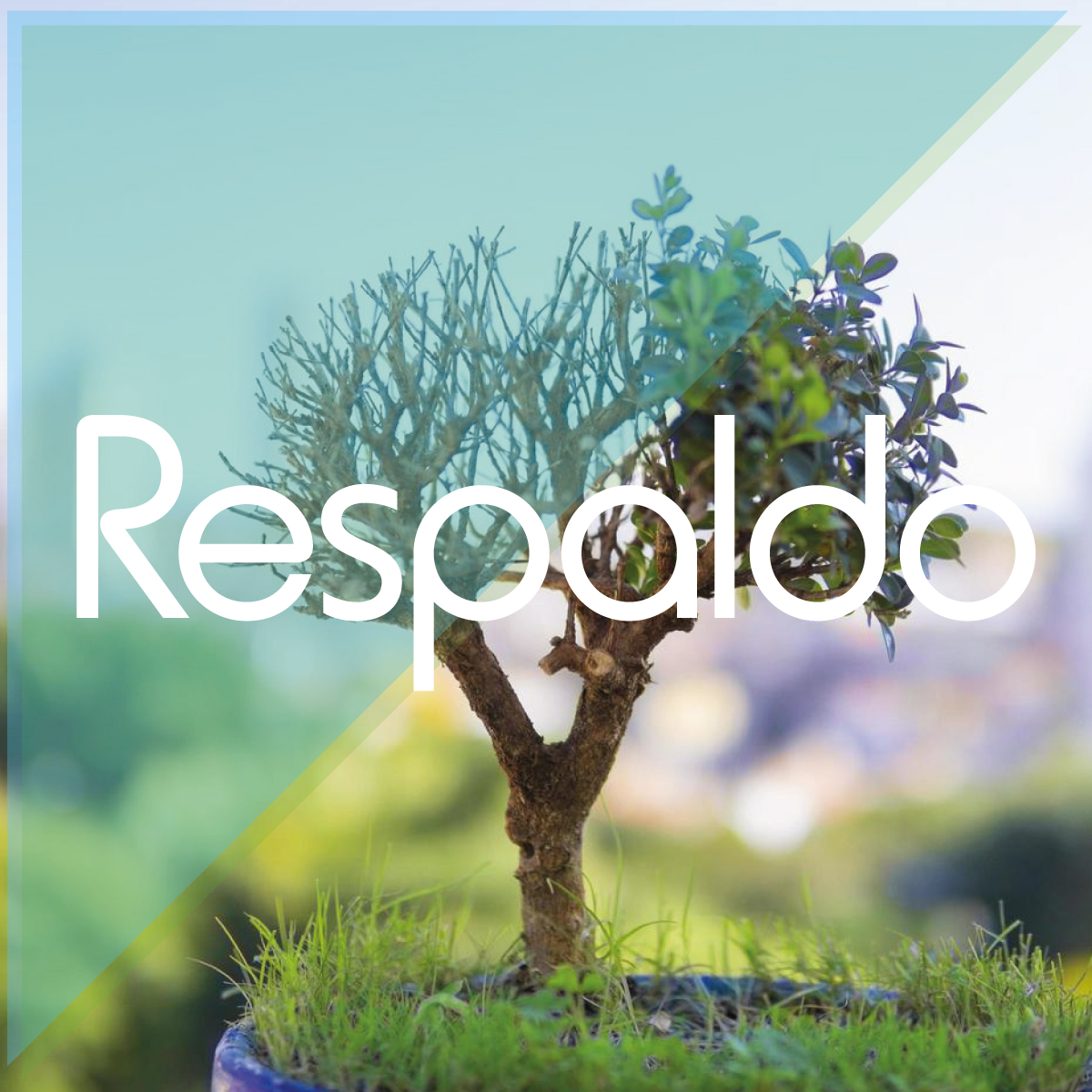 Equipo Gómez Montes